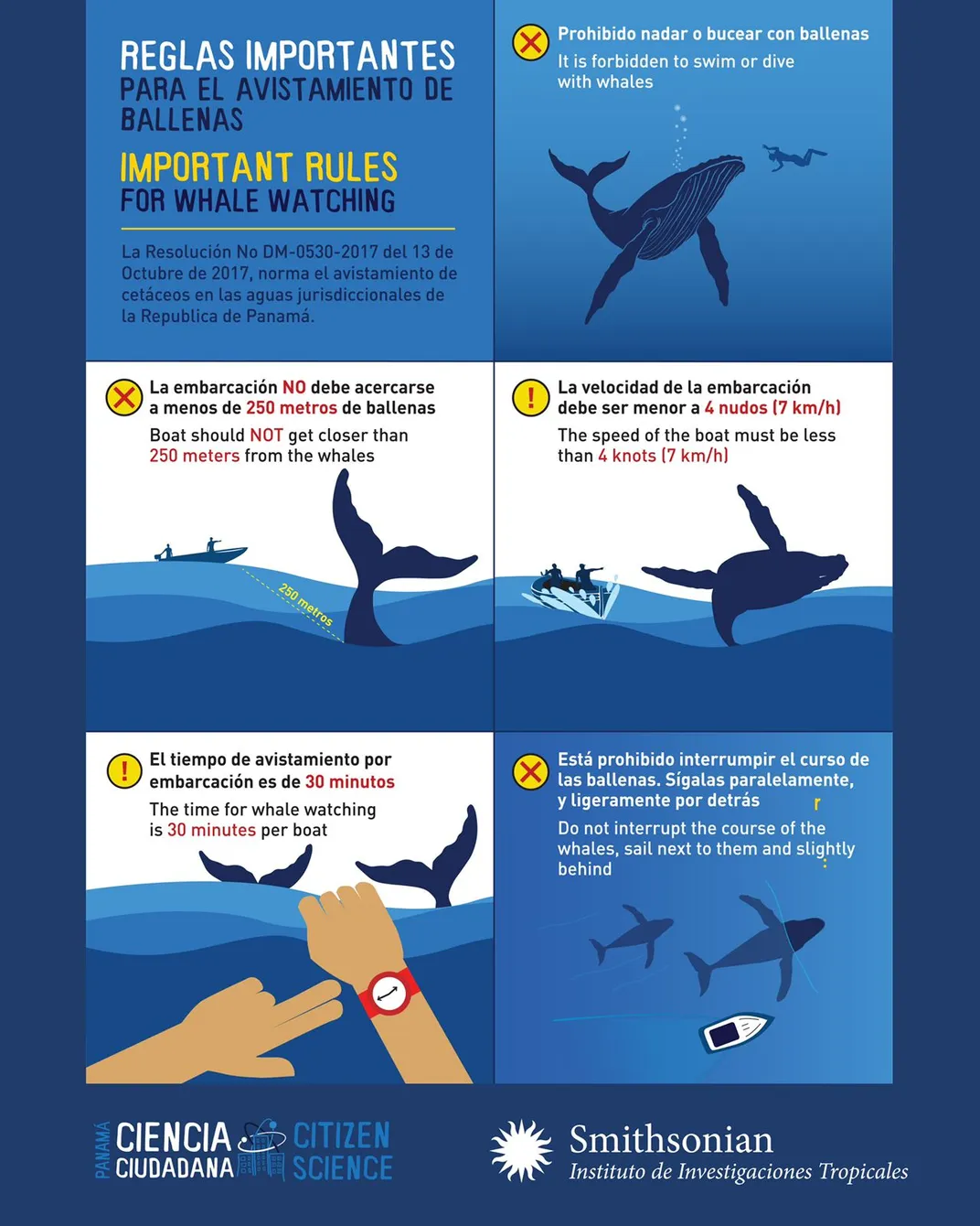 STRI's guidelines for Whale Watching
