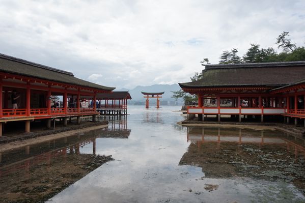 Itsukushima Shrine thumbnail