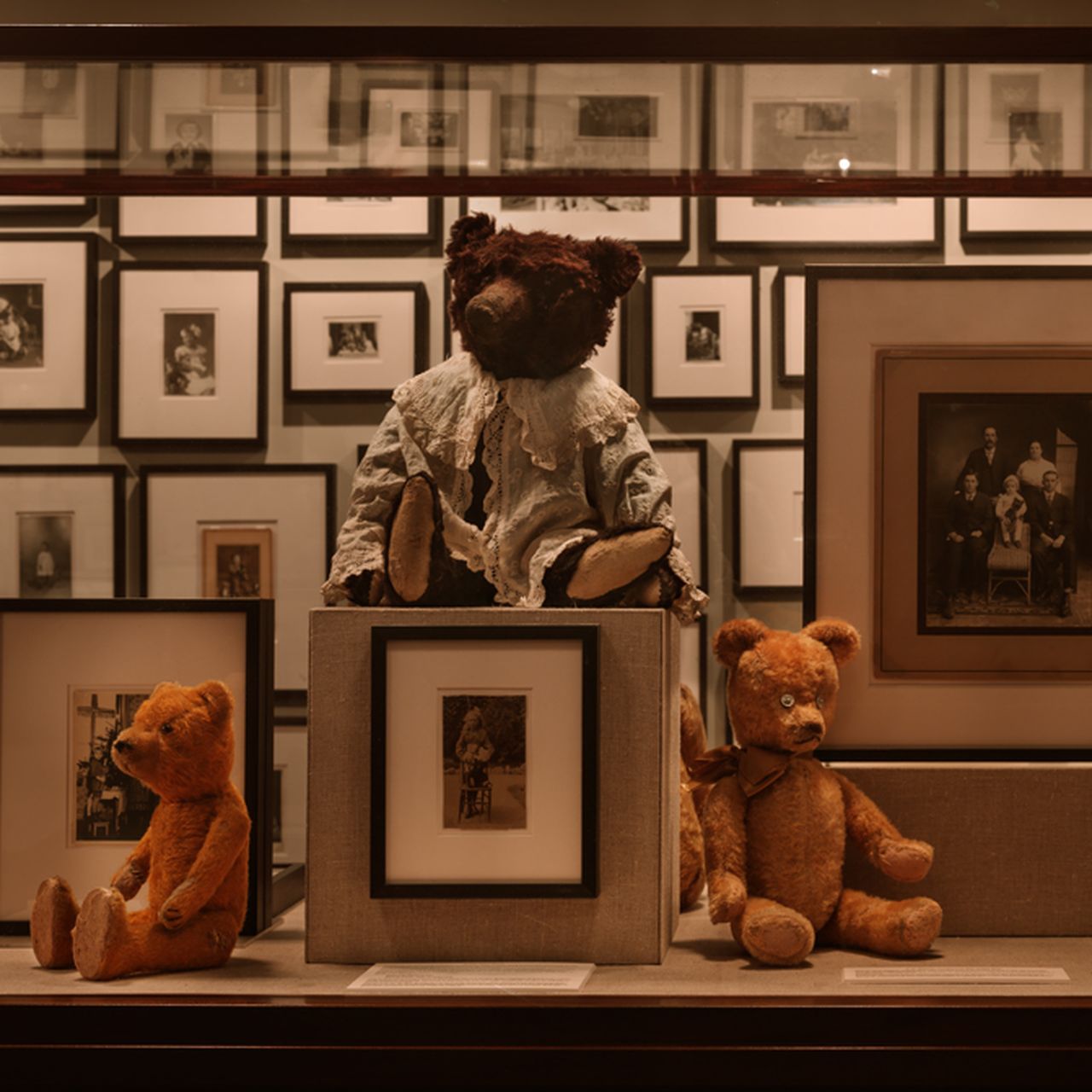 This Is What 3,000 Photos of Teddy Bears Look Like