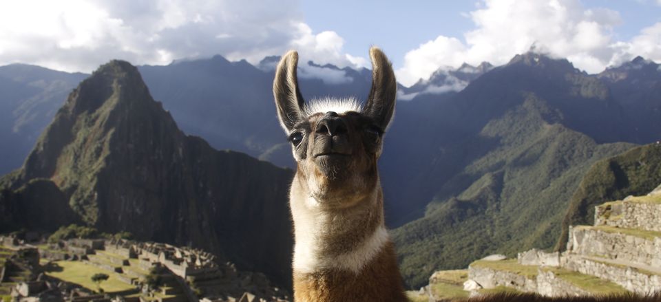  Machu Picchu, Peru. Taken by Lance Mcmillan. 