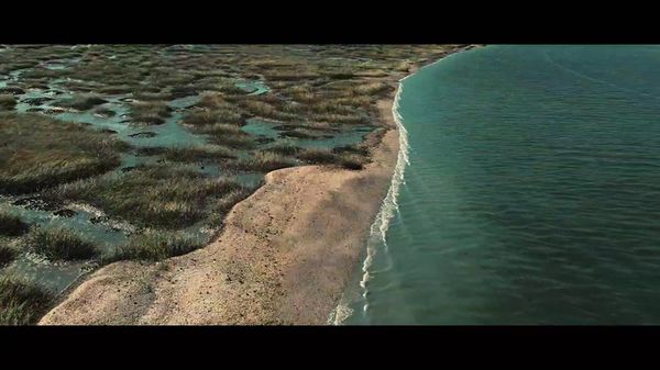 Preview thumbnail for Discover Wildly Beautiful Palmetto Bluff