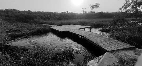 A dock at dawn. thumbnail