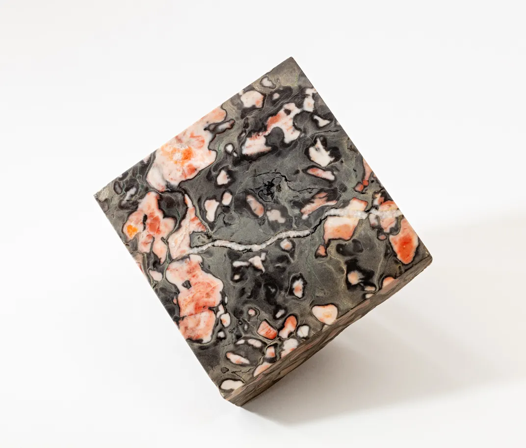 What Natural History Objects Represent Your State? You Can Find Out in This New Exhibition of More Than 600 Specimens and Artifacts