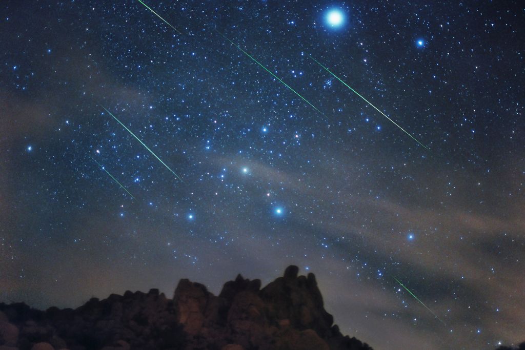 Leonids