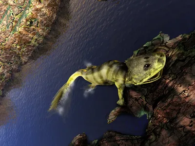 Tiktaalik roseae had fish-like fins, a flattened skull (similar to a crocodile), and is thought to have lived in shallow water, using its fins to prop itself up.