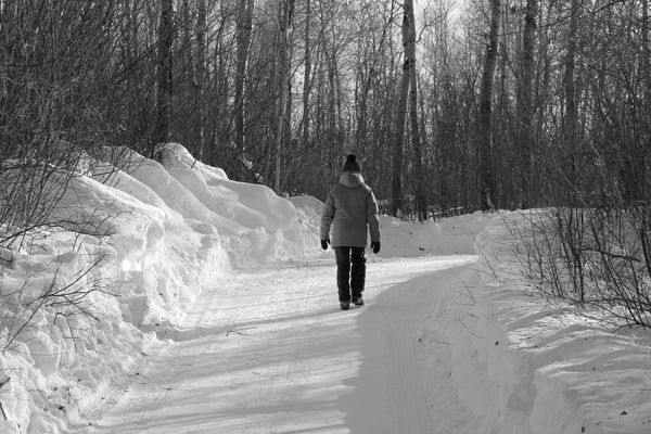 WINTER STROLLER thumbnail