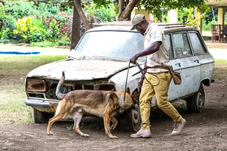 A Canines for Conservation handler and his dog inspect a vehicle as a part of a 12-week training course.