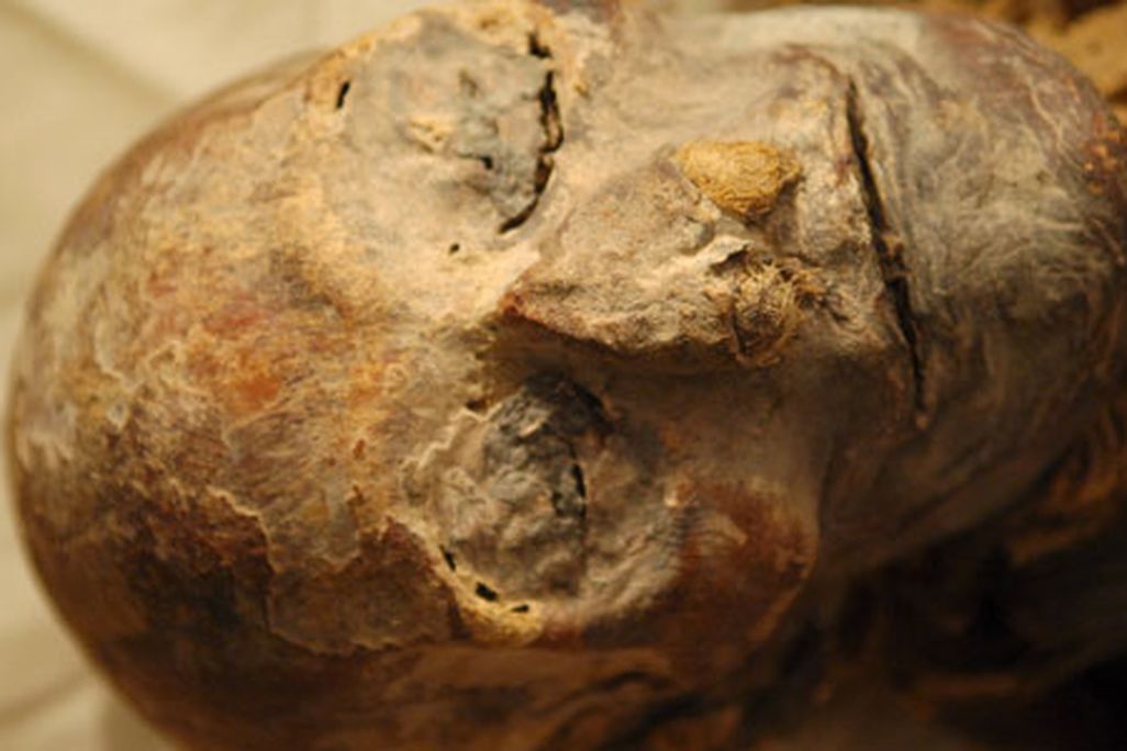 egypt-ten631.jpg