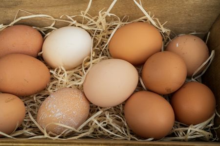 eggs nestled in straw