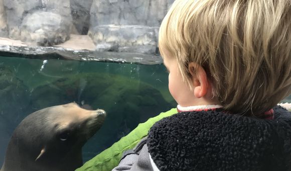 Activities that give young children the opportunity to build meaningful, personal connections with animals can be the spark for a lifelong love of wildlife and cultivate a lasting conservation ethic.
