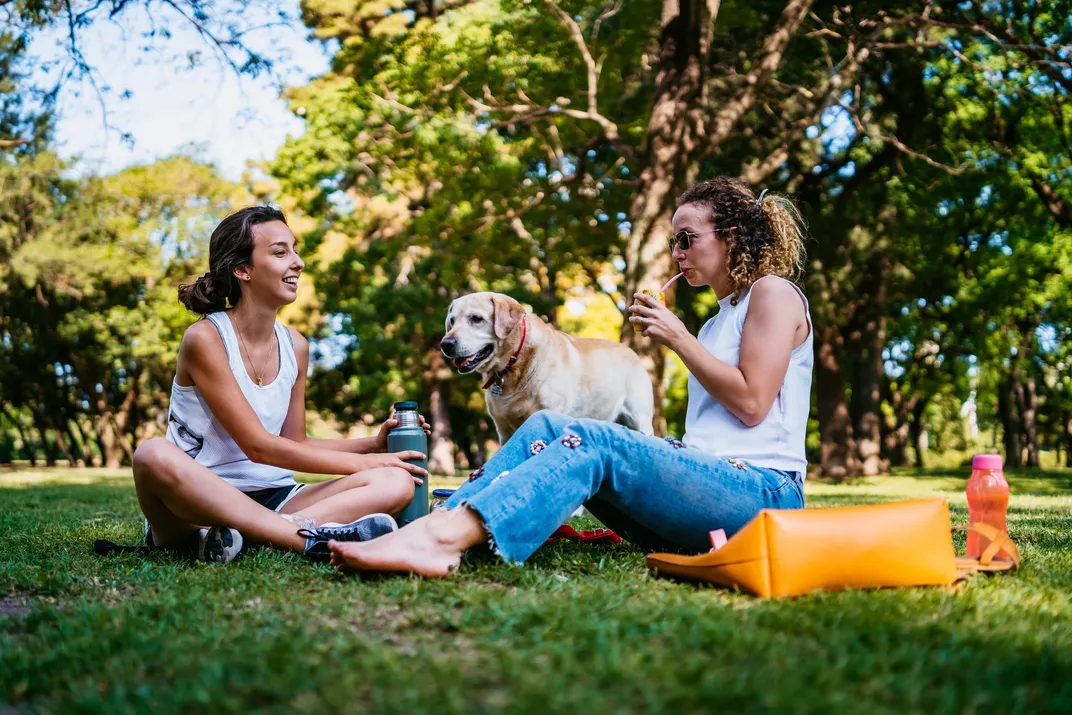 How Do People Picnic Around the Globe?