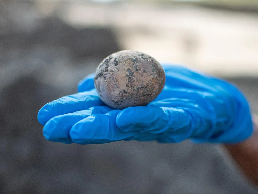 Intact chicken egg found in Israel