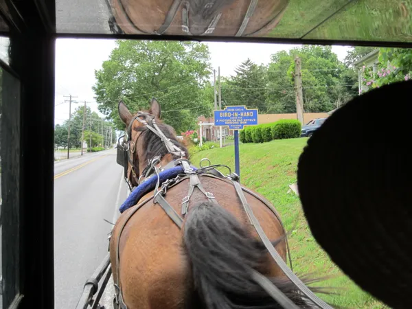 Carriage Ride into town thumbnail