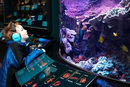 The Smithsonian started its "Morning at the Museum" program in 2011.