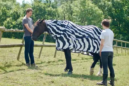 The coat is functional AND stylish.