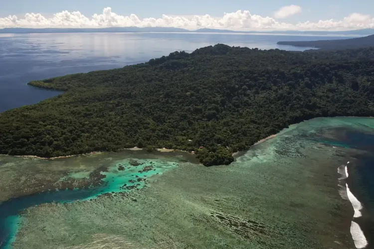 The only human development on Tetepare is a small research center and ecolodge on the western corner of the island, which is otherwise covered in lush rainforest and lined by coral reefs and meadows of seagrass.
