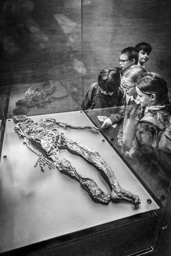 Meeting the Bog Man thumbnail