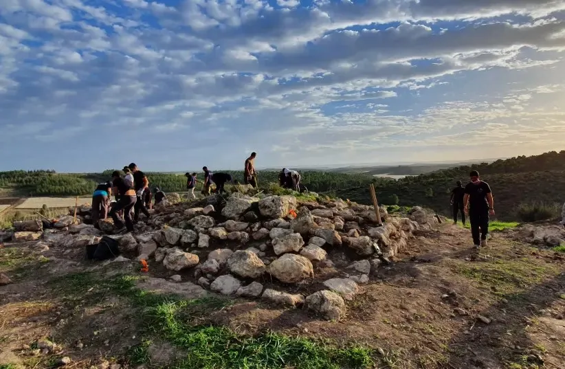 Dig Site