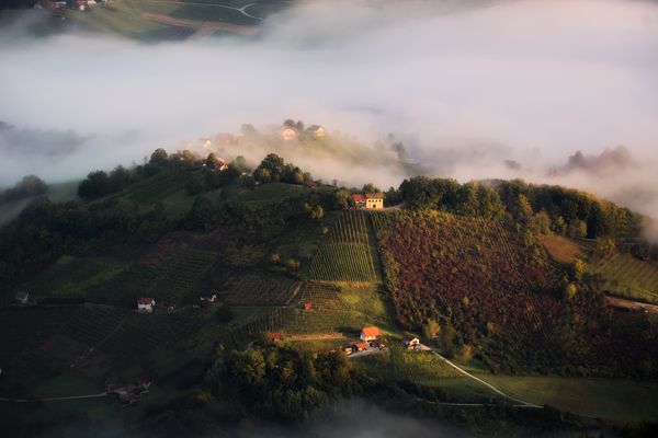 A shot of the southeastern Slovenian landscape at sunrise. You can see local vineyards and houses dotted on the rolling hills.