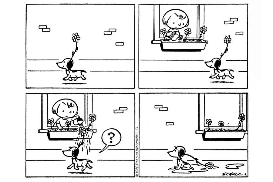 Snoopy’s first, rather soggy appearance