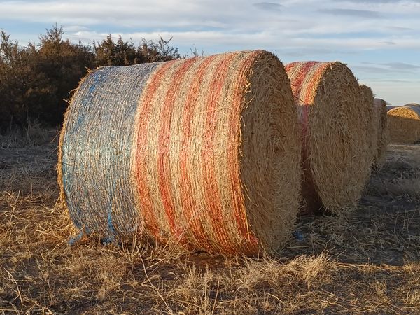 Patriotic Hay Bales thumbnail