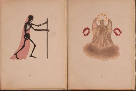If a reader stared at one of Spectropia&rsquo;s illustrations under a strong light source for about 20 seconds and then gazed at a blank wall in a darkened room, a version of that image in inverted colors appeared.