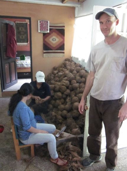 Coconuts are piled high