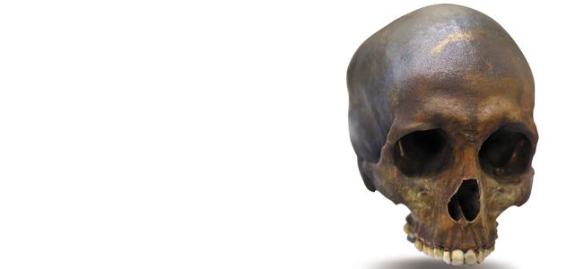 A replica of the skull of Robert Kennicott