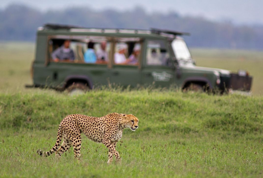 The thrill of being on safari