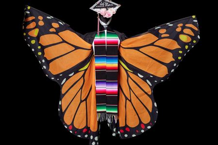 DACA graduation robe