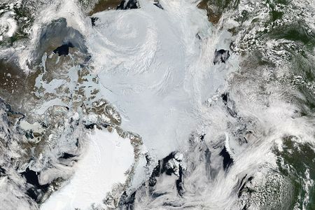 MODIS image of the Arctic