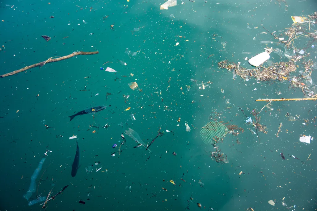 plastic pollution in ocean