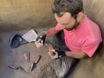 Fran&ccedil;ois Lano&euml;, an archaeologist at the University of Arizona, helped discover an 8,100-year-old canine jawbone in Alaska in 2023.