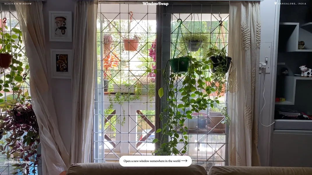 Plants hang from a window frame in Bangalore, India