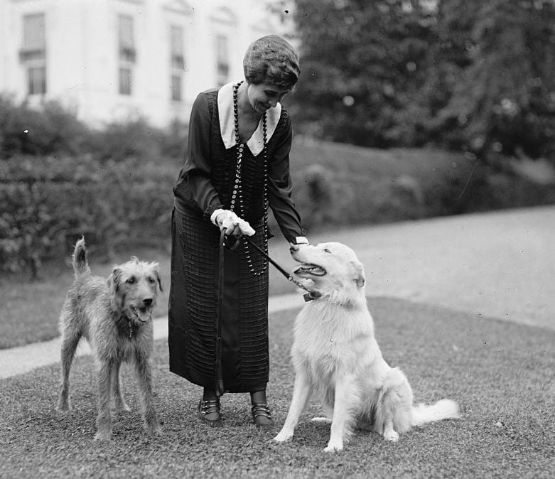 Grace Coolidge with Laddie Boy, an Airedale Terrier, and Rob Roy, a white Collie