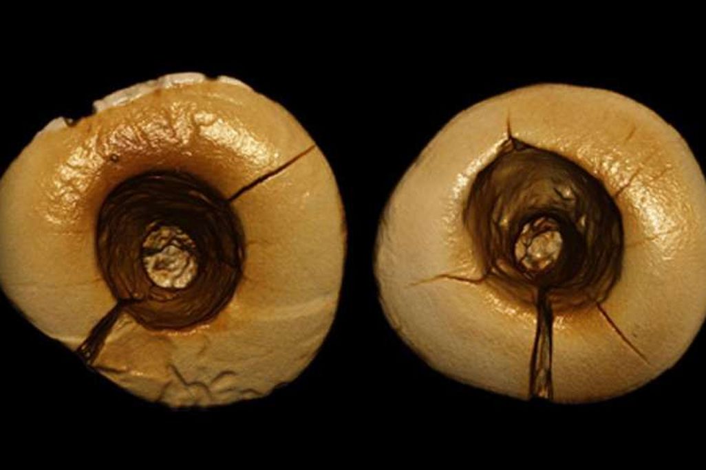Ancient Cavity