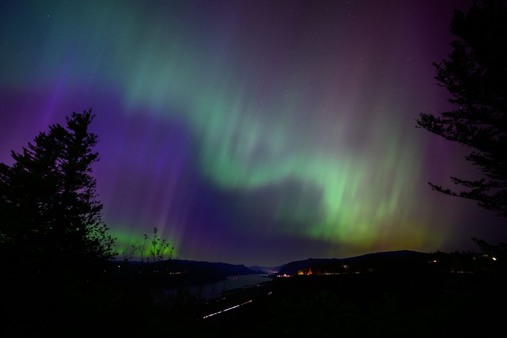 layers of purple, green and pink light shine in waves above trees