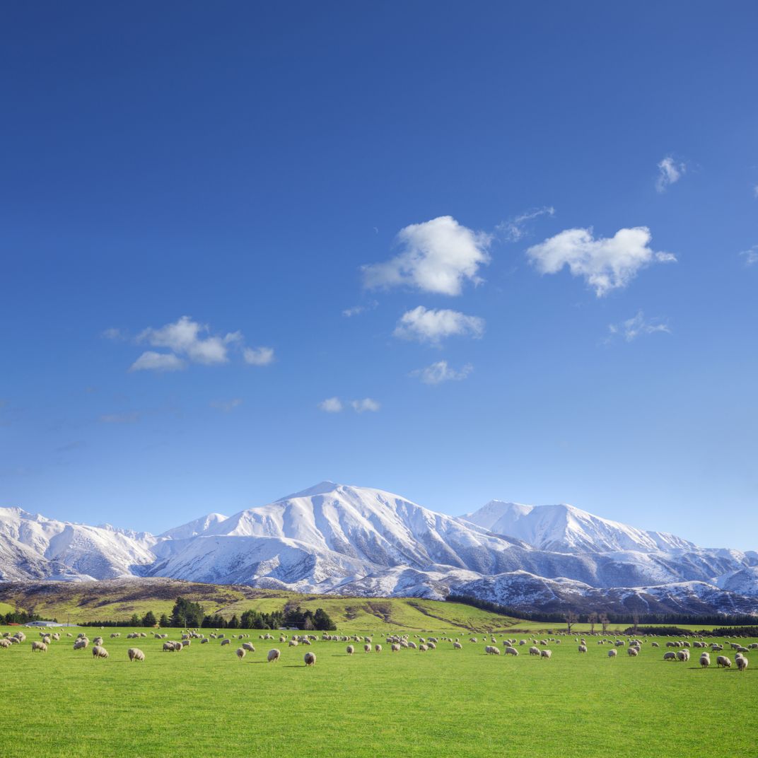 The Southern Alps
