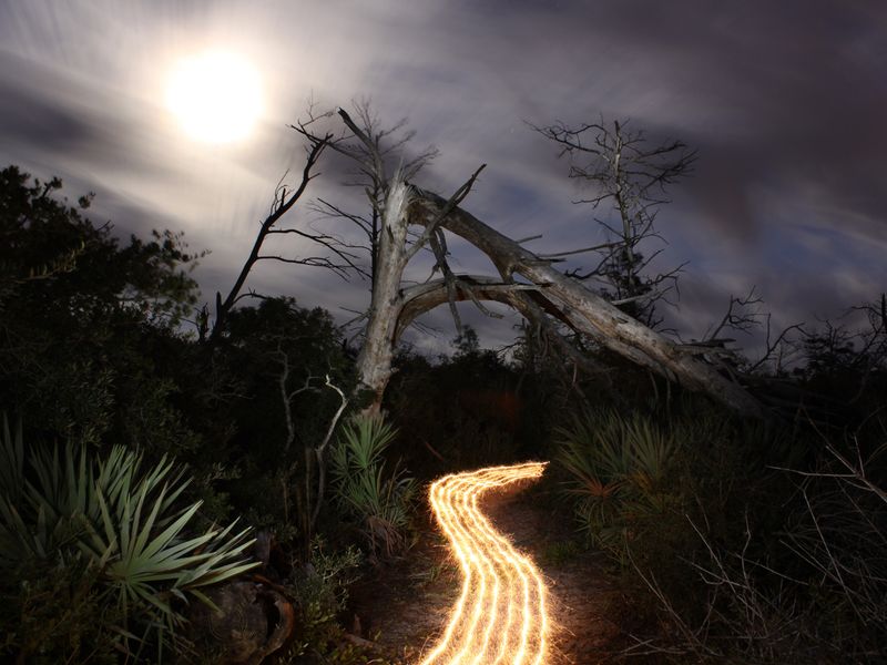 I Create My Photographs Using A Technique Known As Light Painting In