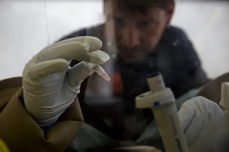 A scientist separates blood cells from plasma cells to isolate any Ebola RNA in order to test for the virus at the European Mobile Laboratory in Gueckedou, Guinea.