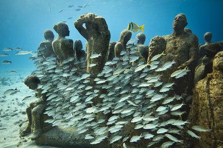 The Silent Evolution. MUSA Collection, 2010. Depth, 8 m. Manchones Reef, Mexico.