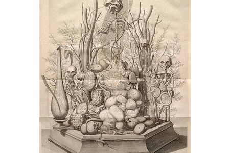 This dioarama, which used actual human remains, is another example of the ways Ruysch used bodies to make art.
