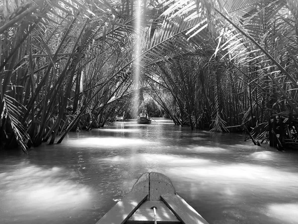 Sampan Ride Through the Mekong Delta thumbnail