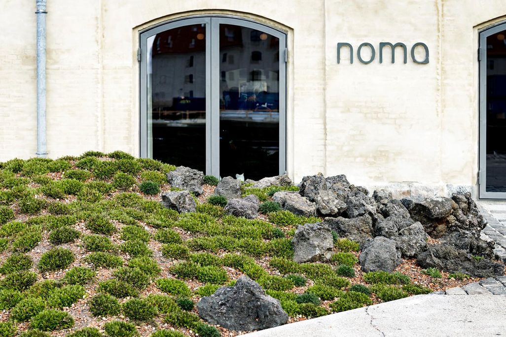 Noma outside