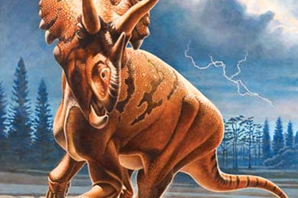 20110520083254new-perspectives-on-horned-dinosaurs.jpg