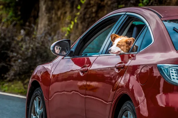 Anticipation Before the Journey thumbnail