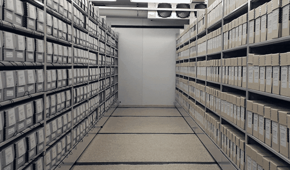 Archival Career Advice (1).gif