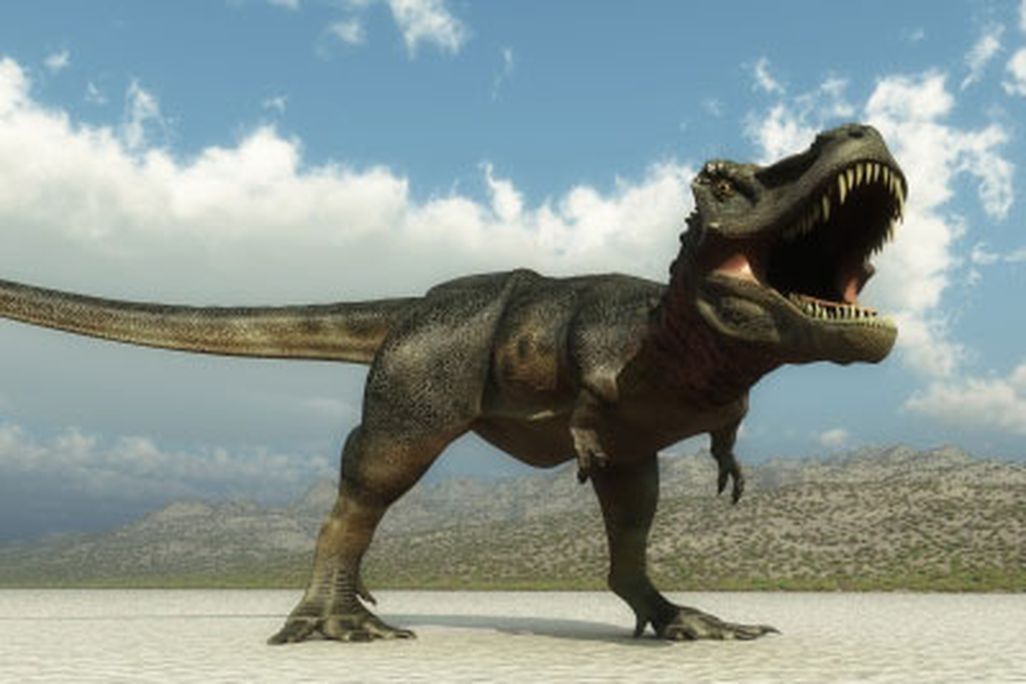 20110520083105trex_dinosaur_tracking.jpg