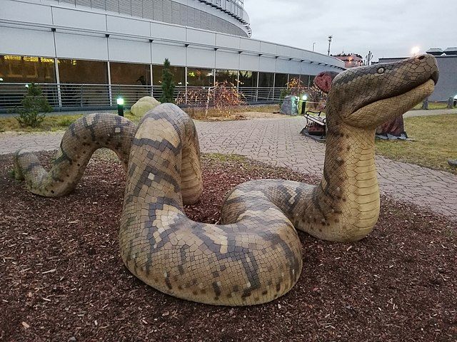 A Nightmare Snake Once Roamed the Colombian Swamps | Smithsonian Voices |  Smithsonian Books Smithsonian Magazine