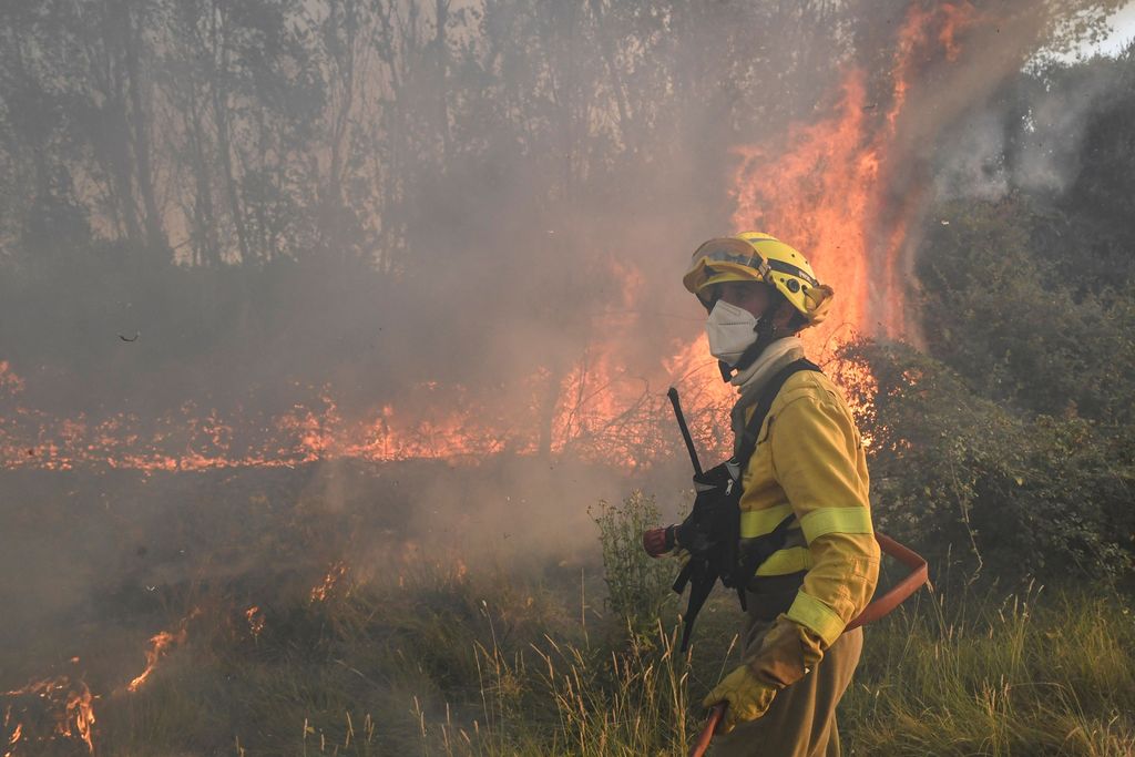 A firefighter stands in front of a wildfire